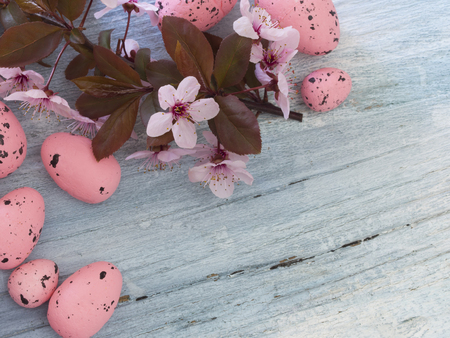 Easter eggs with flowersの写真素材