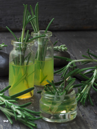 fresh rosemaryの写真素材