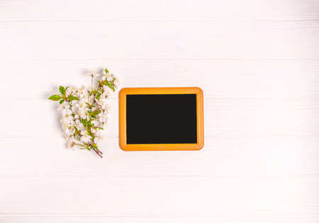 Blossoming cherry branches on a white background. Flat lay, postcard blank, space for text, copy space. View from above.の写真素材