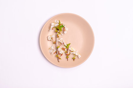 Blossoming cherry branches on a white background. Flat lay, postcard blank, space for text, copy space. View from above.の写真素材