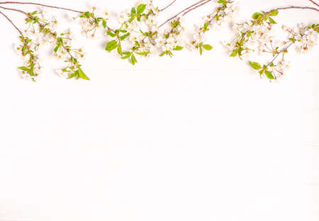 Bouquet of white tulips with gift boxes and blank paper on a blue background. Flat lay, copy space, spring concept, place for text, top view.の写真素材