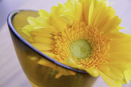 Sunflower for the home decorの写真素材