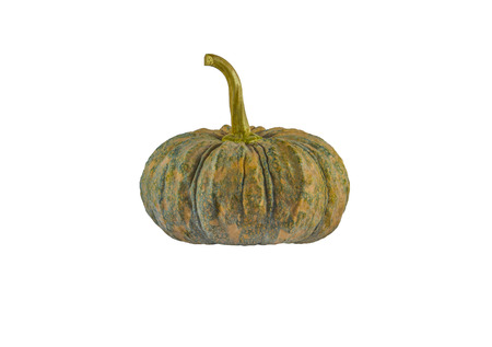 Pumpkin on white backgroundの写真素材