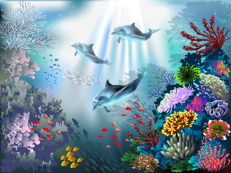 The underwater world with dolphins and plantsのイラスト素材