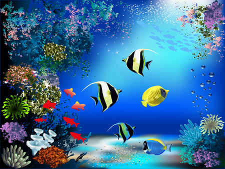 The underwater world with fish and plants