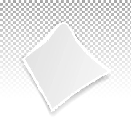 Torn paper holes. Hole in the sheet of paper on a transparent background for web and print.のイラスト素材