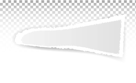 Torn paper holes. Hole in the sheet of paper on a transparent background for web and print.のイラスト素材