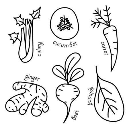 Vector vegetables pattern.のイラスト素材