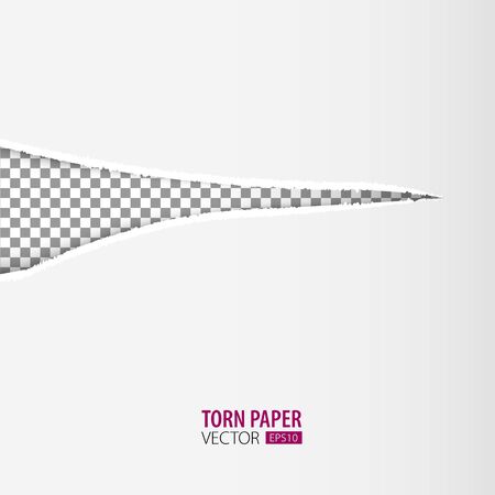 Torn paper holes. Hole in the sheet of paper on a transparent background for web and print.のイラスト素材