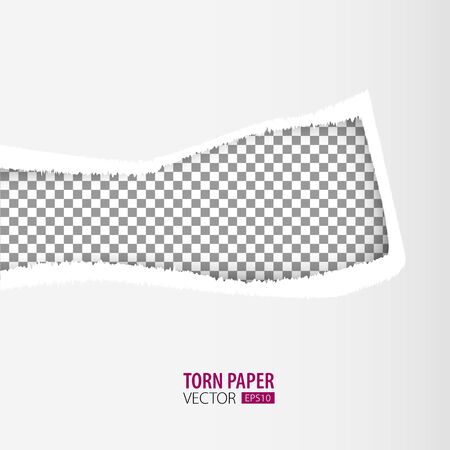 Torn paper holes. Hole in the sheet of paper on a transparent background for web and print.のイラスト素材