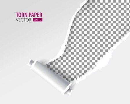 Torn paper holes. Hole in the sheet of paper on a transparent background for web and print.のイラスト素材