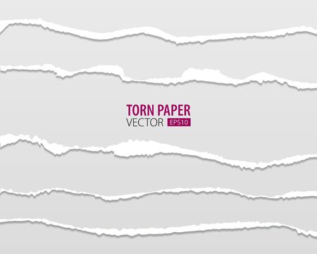 Torn paper holes. Hole in the sheet of paper on a transparent background for web and print.のイラスト素材