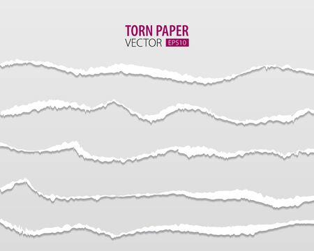 Torn paper edges. Vector torn paper with ripped edges on a transparent background for web and print.のイラスト素材
