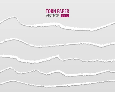 Torn paper edges. Vector torn paper with ripped edges on a transparent background for web and printのイラスト素材