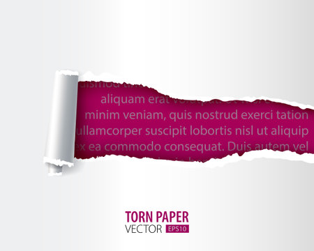 Torn paper holes. Hole in the sheet of paper on a color background for web and printのイラスト素材