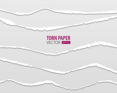 Torn paper edges. Vector torn paper with ripped edges on a transparent background for web and print.のイラスト素材