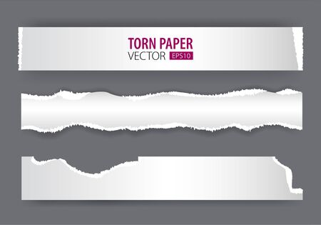 Papers strips with torn edges. Pieces of ripped white paper and soft shadow for web and print.のイラスト素材