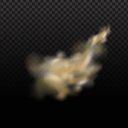 Dust cloud, sand storm, powder spray on transparent background. Desert wind with cloud of dust and sand. Realistic vector illustration.のイラスト素材