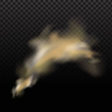 Dust cloud, sand storm, powder spray on transparent background. Desert wind with cloud of dust and sand. Realistic vector illustration.のイラスト素材