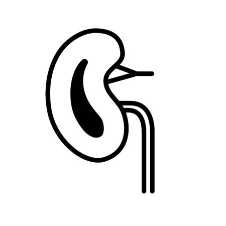 Kidney, line icon. Modern infographic  and pictogramのイラスト素材