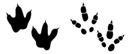 Dinosaur footprint tracks vector set illustration. Background with paw, claw predator. Dinosaur footprint illustration perfect for textile, wrap and wallpaper and designのイラスト素材
