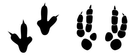 Dinosaur footprint tracks vector set illustration. Background with paw, claw predator. Dinosaur footprint illustration perfect for textile, wrap and wallpaper and design.のイラスト素材