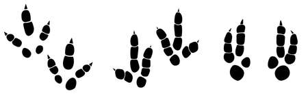 Dinosaur footprint tracks vector set illustration. Background with paw, claw predator. Dinosaur footprint illustration perfect for textile, wrap and wallpaper and design.のイラスト素材