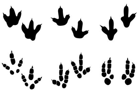 Dinosaur footprint tracks vector set illustration. Background with paw, claw predator. Dinosaur footprint illustration perfect for textile, wrap and wallpaper and design.のイラスト素材