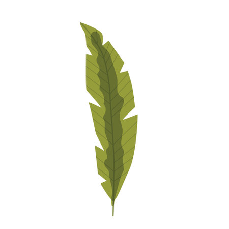 Tropic leaf, flower, colorful handrawn flat illustrationのイラスト素材
