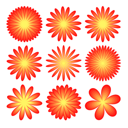 flowers set on white background realistic asters, chrysanthemums, peonies.のイラスト素材