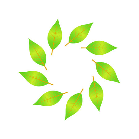 a wreath of autumn leaves in vector EPS 10.のイラスト素材