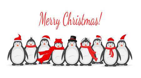 Many polar penguins Christmas vector illustrationのイラスト素材