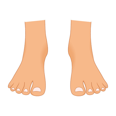 Beautiful bare woman legs with a pedicure isolated on white background. Female body parts attractive beauty vector set. Female foot bare, beauty woman leg illustrationのイラスト素材