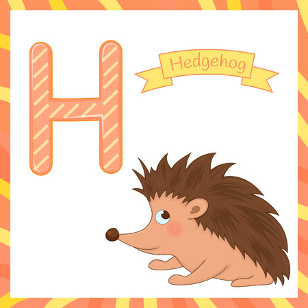 Cute children animal alphabet H letter flashcard of Hedgehog for kids learning English vocabularyのイラスト素材