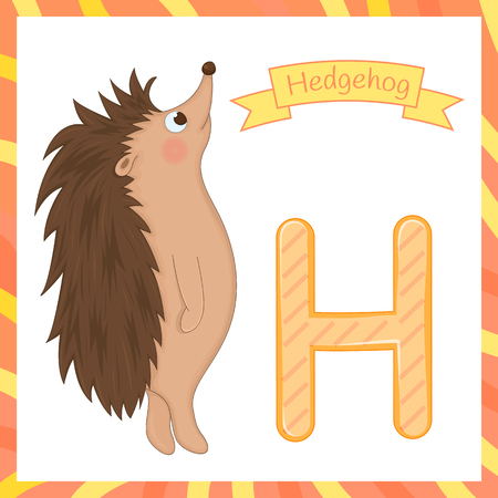 Cute children animal alphabet H letter flashcard of Hedgehog for kids learning English vocabularyのイラスト素材