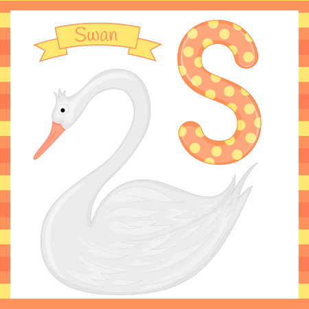 Cute children zoo alphabet S letter tracing of Swan for kids learning English vocabularyのイラスト素材