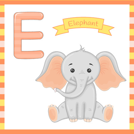 Cute children ABC animal alphabet E flashcard of Elephant for kids learning English vocabulary.のイラスト素材