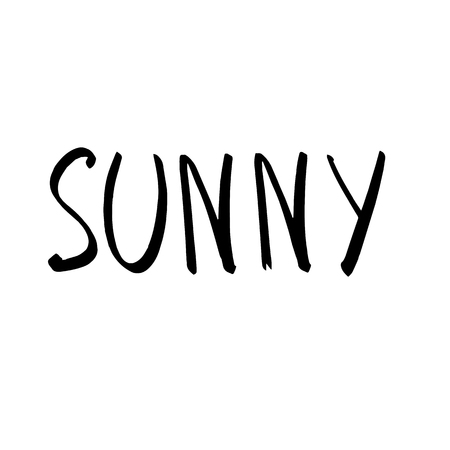 Summer hand drawn brush letterings. Summer typography sunnyのイラスト素材