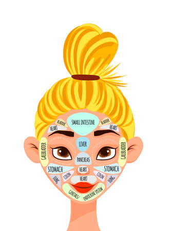 Female character with a projection of internal organs on the face. Cartoon style. Vector illustrationのイラスト素材