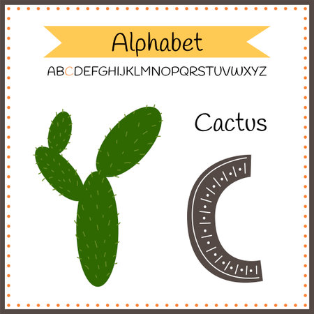 English uppercase alphabet letters on a white background. Letter C. Vector illustrationのイラスト素材