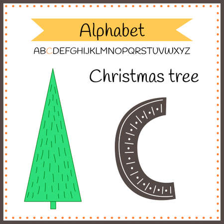 English uppercase alphabet letters on a white background. Letter C. Vector illustrationのイラスト素材