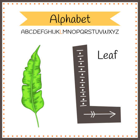 English uppercase alphabet letters on a white background. Letter L. Vector illustrationのイラスト素材