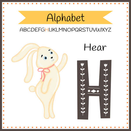 Cute children ABC animal zoo alphabet H letter flashcard of Hare for kids learning Englishのイラスト素材
