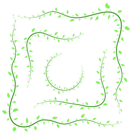 different branches isolated in white backgroundのイラスト素材