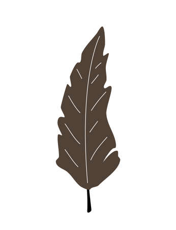 Collection of vector magic fairy tale elements, icons and illustrations. Feather.のイラスト素材