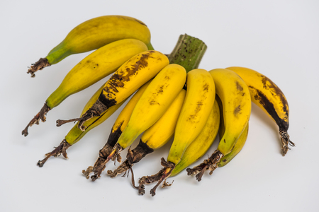 isolated lebmuernang banana from my backyardの写真素材