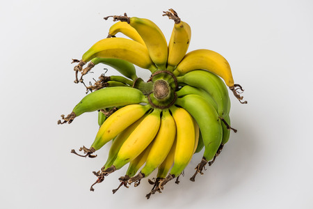 isolated lebmuernang banana from my backyardの写真素材