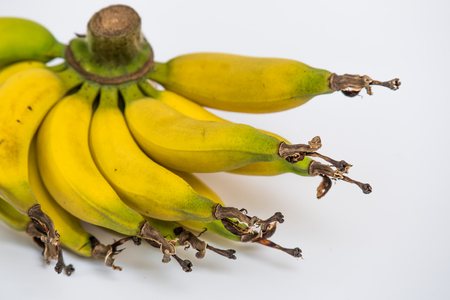 isolated lebmuernang banana from my backyardの写真素材