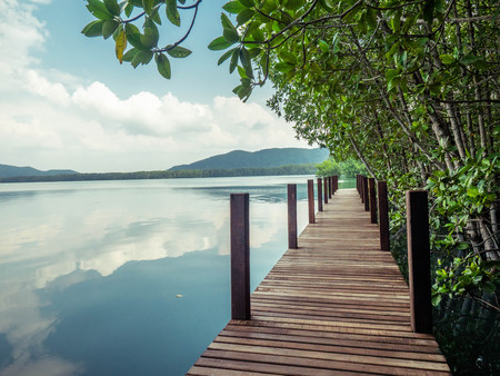 zu tong pae bridge in Mangrove forest