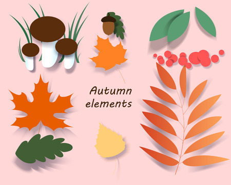 Autumn leaf. Autumn maple leaf isolated on a white background. Vector illustrationのイラスト素材